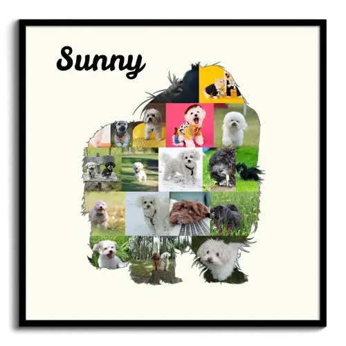 Creëer unieke Bolonka fotocollage: Jouw herinnering voor thuis of als cadeau!