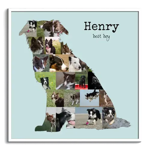 Maak jouw Border Collie fotocollage met eigen foto's en tekst!