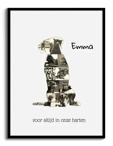 Creëer jouw Cane Corso collage - Een unieke herinnering aan je trouwe viervoeter!