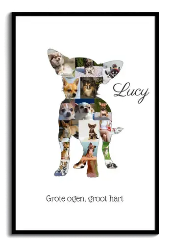 Creëer jouw Chihuahua fotocollage - Personalisier met foto's en tekst