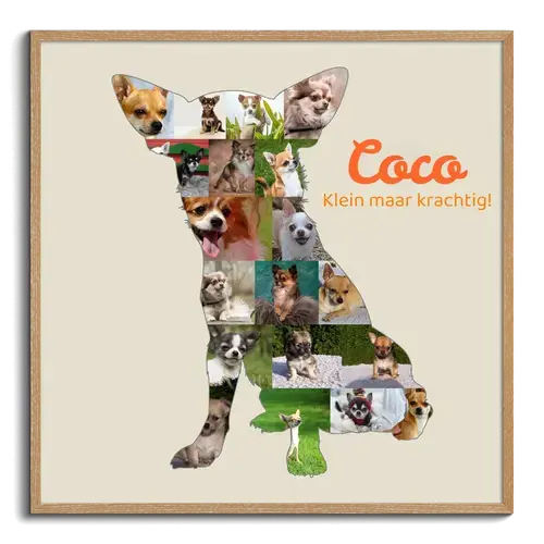 Creëer jouw Chihuahua fotocollage - Personalisier met foto's en tekst