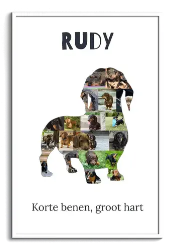 Creëer je persoonlijke Dackel collage voor een unieke hondenherinnering!
