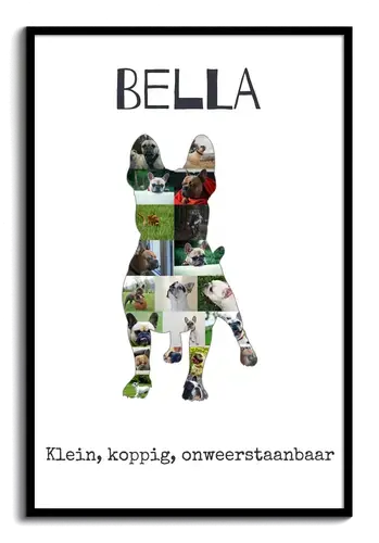 Creëer jouw unieke Franse Bulldog fotocollage - Persoonlijk en onvergetelijk!