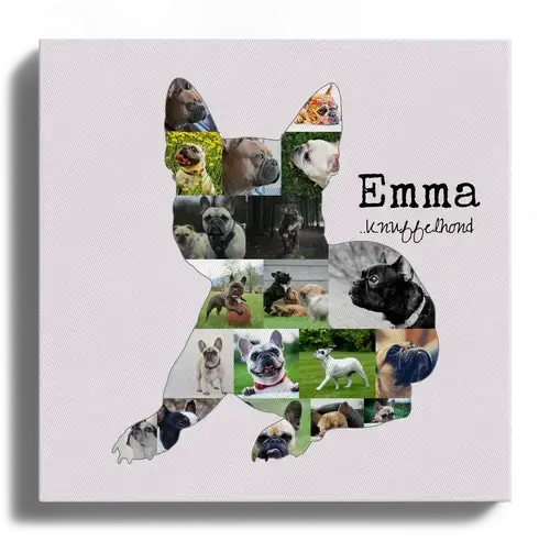 Creëer jouw unieke Franse Bulldog fotocollage - Persoonlijk en onvergetelijk!
