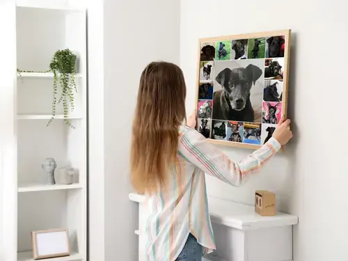 Maatwerk Fotocollage voor Hondenliefhebbers