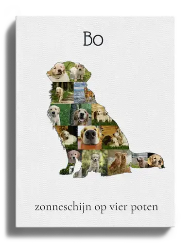 Creëer jouw unieke Golden Retriever fotocollage met persoonlijke touch!
