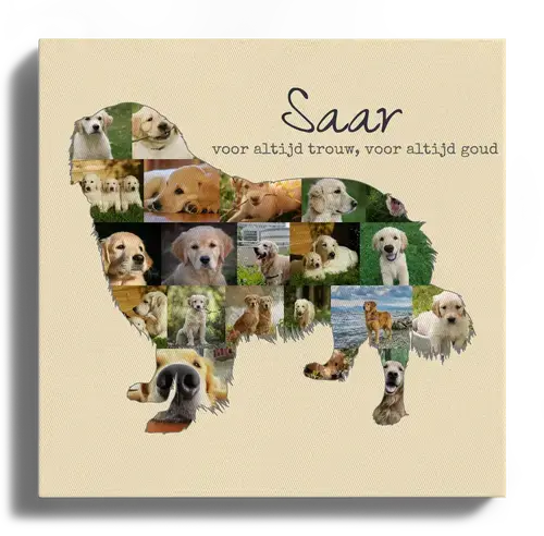 Creëer jouw unieke Golden Retriever fotocollage met persoonlijke touch!