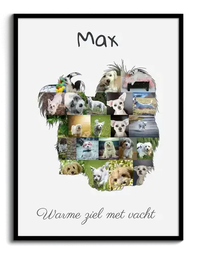 Havaneser Fotocollage: Creëer jouw unieke herinnering met foto's en tekst