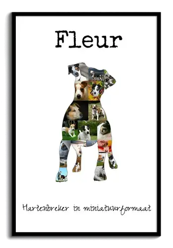 Jack Russell Fotocollage: Creëer jouw persoonlijke hondenherinnering!