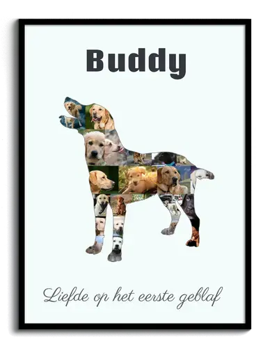 Creëer jouw unieke Labrador fotocollage - Een blijvende herinnering