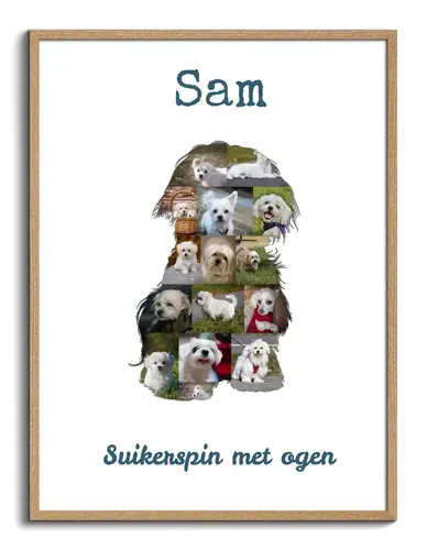 Creëer jouw unieke Malteser collage - gepersonaliseerd met 15-20 foto's!