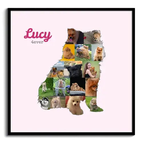 Creëer je persoonlijke Pomeranian fotocollage met jouw foto's en tekst