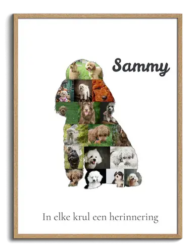 Maak je Poodle Foto-Collage: Unieke Herinnering voor Hondenvrienden