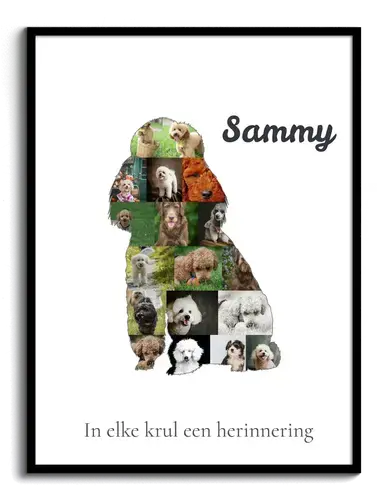 Maak je Poodle Foto-Collage: Unieke Herinnering voor Hondenvrienden