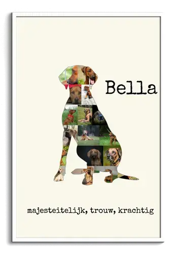 Creëer jouw unieke Rhodesian Ridgeback hondenfotocollage nu!