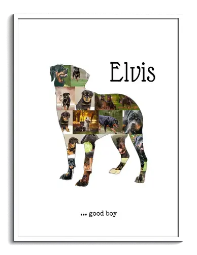 Creëer je eigen Rottweiler fotocollage met persoonlijke tekst!