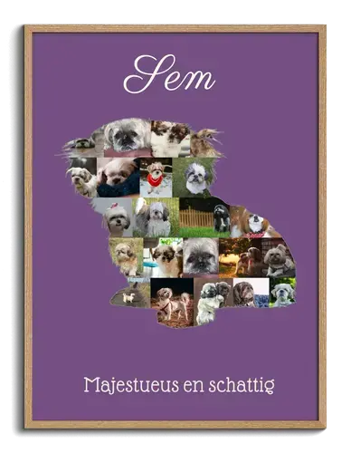 Mooie Shih Tzu Foto Collage voor Jouw Eigen Persoonlijke Herinnering