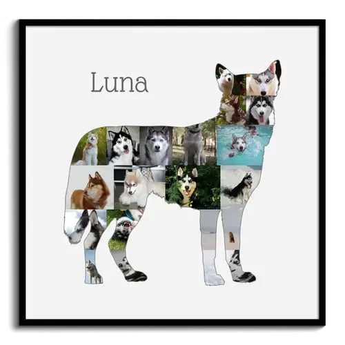 Creëer jouw Husky Collage - Unieke herinnering met persoonlijke foto's!