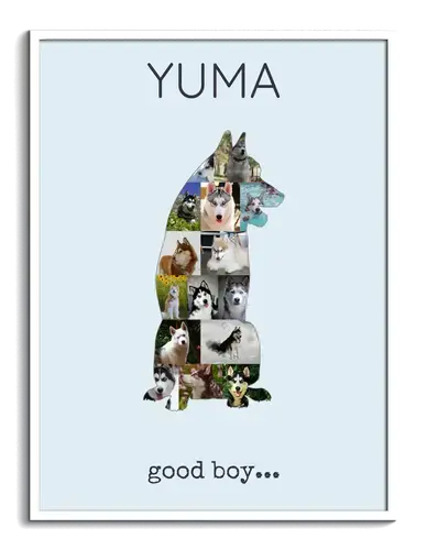 Creëer jouw Husky Collage - Unieke herinnering met persoonlijke foto's!