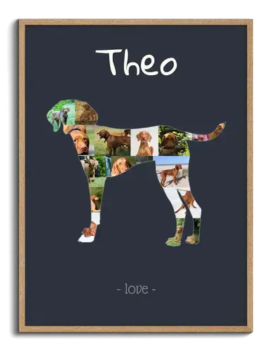 Creëer jouw unieke Vizsla fotocollage - persoonlijk en onvergetelijk!