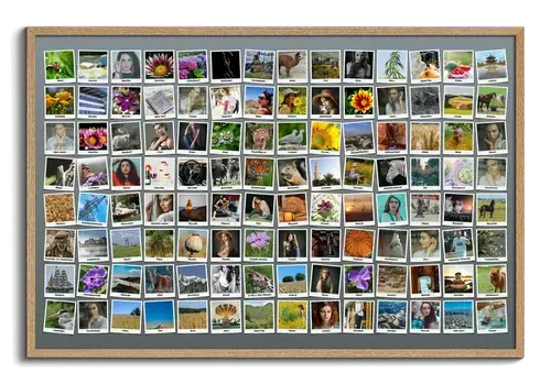 Creëer je eigen unieke Polaroid rastercollage met meer dan 100 foto's!