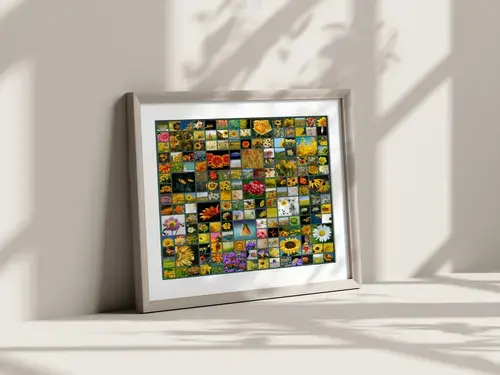 Vierkante Fotocollage met Natuurbeelden