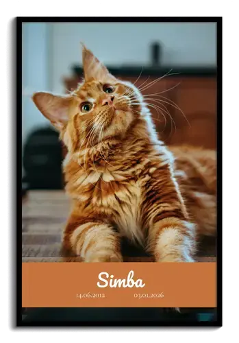 Rouwcollage kat – grote foto met naam en data
