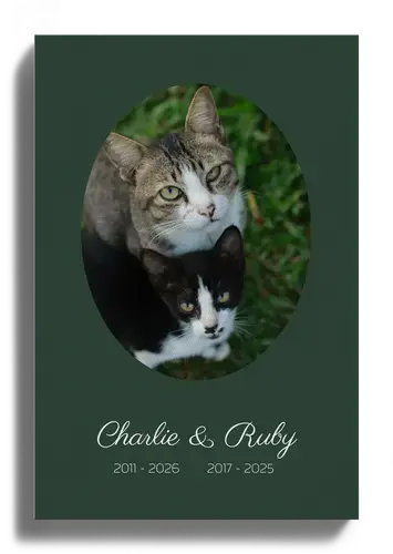 Rouwcollage kat – grote foto met naam en data