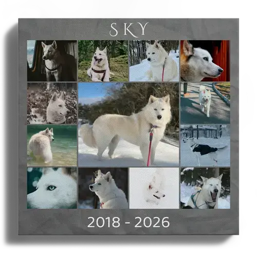 Herdenkingsfotocollage hond met eigen tekst