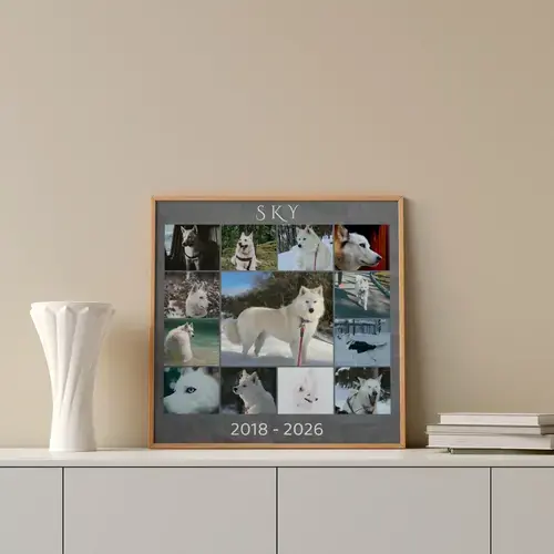 Herdenkingsfotocollage hond met eigen tekst