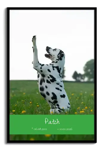 Gedenkcollage hond – ovaal portret met naam & data