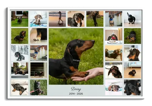 Herdenkingscollage hondensilhouet met naam & jaren