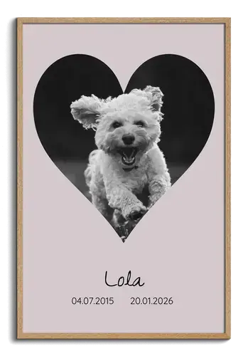 Herdenkingscollage hondensilhouet met naam & jaren