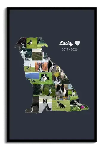 Herdenkingscollage hondensilhouet met naam & jaren