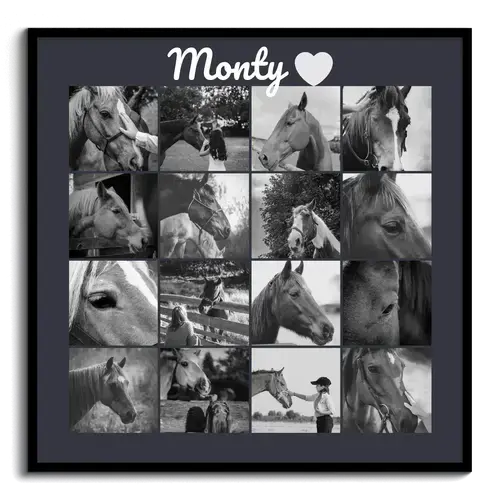 Herdenkingsfotocollage paard (rouwposter)