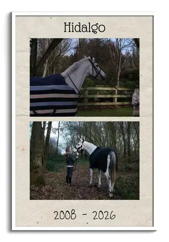 Herdenkingsfotocollage paard (rouwposter)