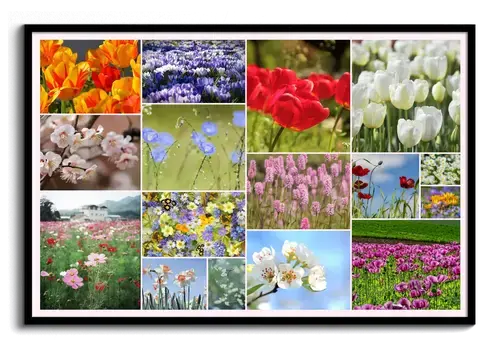 Bloemen & Planten Collage - Lente Thema