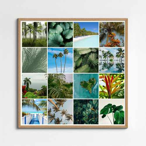 Natuurfotografie Collage – Ontwerp & bestel jouw tropische planten & palmen, premium print