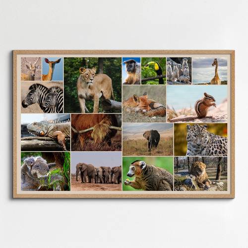 Dieren, vogels & natuur fotocollage – ontwerp nu jouw premium print