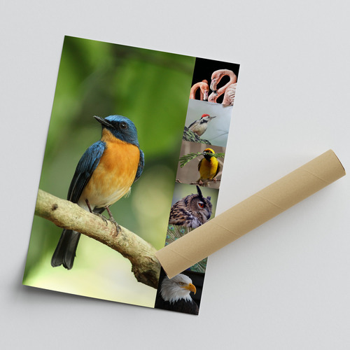 Dieren, vogels & natuur fotocollage – ontwerp nu jouw premium print