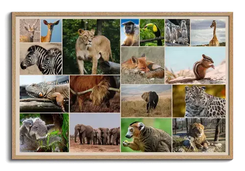 Dieren in de Natuur Collage Print