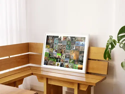 Dieren in de Natuur Collage Print