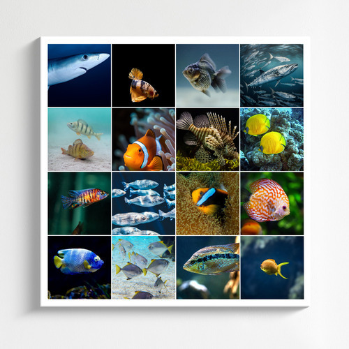 Onderwater fotocollage maken – duikfoto's: maak en bestel premium afdruk met sjablonen