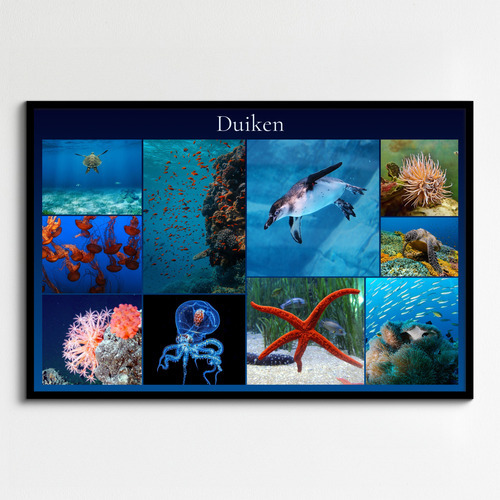 Onderwater fotocollage maken – duikfoto's: maak en bestel premium afdruk met sjablonen