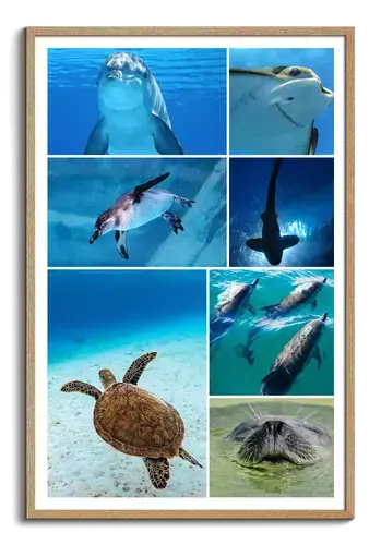 Onderwaterwereld: Dieren Collage op Premiumdruk