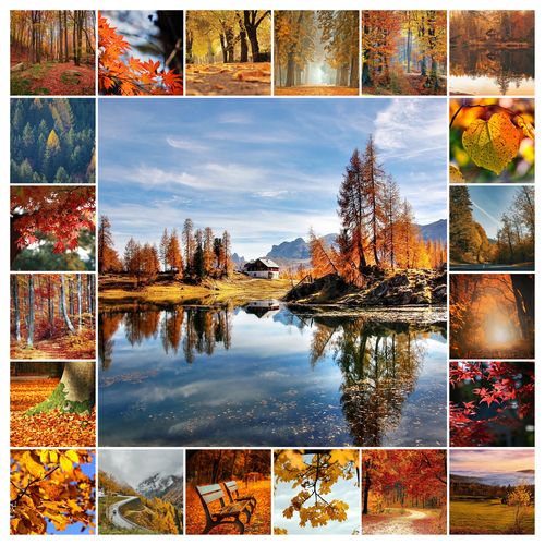 Ontwerp je fotocollage met natuur, landschap & dieren – alle seizoenen | premium print