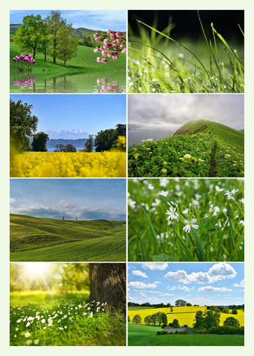 Ontwerp je fotocollage met natuur, landschap & dieren – alle seizoenen | premium print