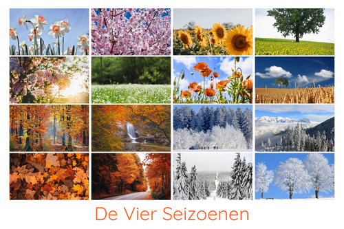 Ontwerp je fotocollage met natuur, landschap & dieren – alle seizoenen | premium print