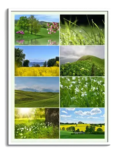 Natuurcollage Seizoenen Premium Print