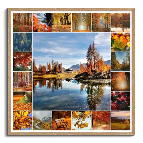 Natuurcollage Seizoenen Premium Print